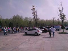 -合肥滨湖国家森林公园