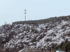 -妙峰山风景名胜区