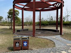 -春花秋色城市公园