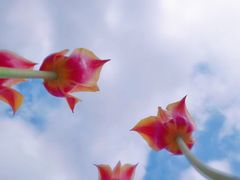 -长春公园(普阳街道)