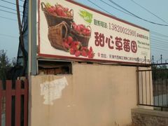 -甜心庄园·甜心草莓采摘园(西青中北店)