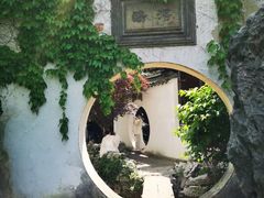 -艺圃