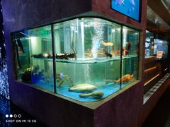 水产区-海派悦庭·海胆烧麦·新融合菜(凯德广场店)