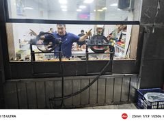 -艾力烤肉店(和平南路店)