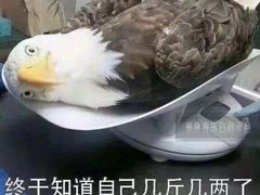 -纳鲁孜·新疆特色餐厅(上海悦荟广场店)