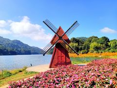 -广州市石门国家森林公园