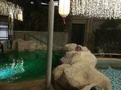 -北京乐多港万豪酒店汤乐宫温泉