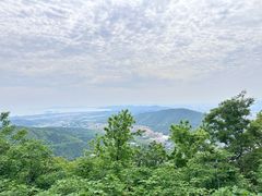 -惠山国家森林公园