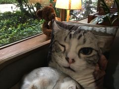 -咖法森林·咖啡  酒吧(天河店)