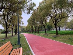 -南翔镇银翔湖公园