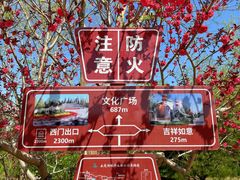 -永定河休闲森林公园