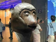 -广西壮族自治区博物馆