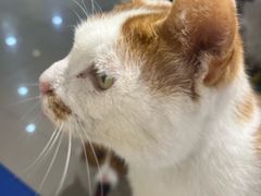 -平行世界·猫咖(首经贸店)