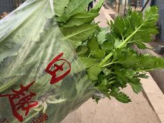 -田趣农庄草莓采摘园