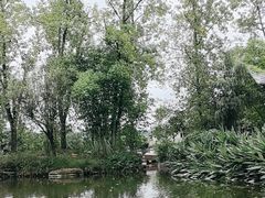 -黄龙溪古镇