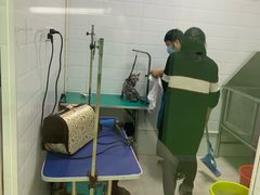 -圣宠动物医院·犬猫专科·影像中心·外科中心