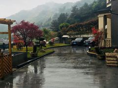 -心无尘茶餐馆(径山村店)