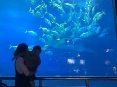 -烟台海昌鲸鲨海洋公园