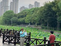 -桐乡植物园
