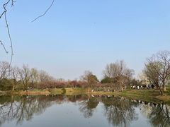 -西溪国家湿地公园