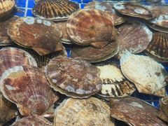 -渔公码头海货全海鲜自助(海滨旅游路店)