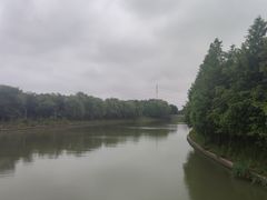 -同里国家湿地公园
