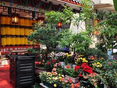 -山水茶艺馆·点心粤菜·30年老字号