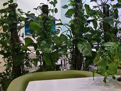 -常青藤国际象棋(新奥店)