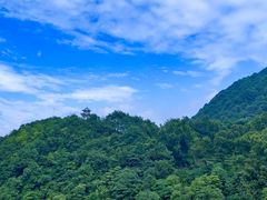 -午潮山国家森林公园
