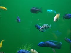 -青岛海底世界-水族馆