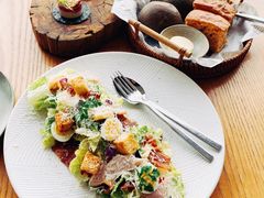 经典凯撒沙拉-EN SPACE恩空间