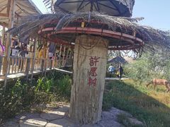 -镇北堡西部影城