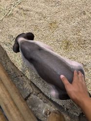 -Zoolung Zoolung动物主题公园(海信广场店)