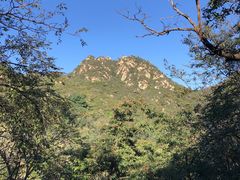 -大岭沟猕猴桃谷风景区