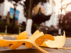 -常州古运河南大街文化旅游区-人民公园