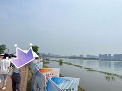 -九龙湖公园