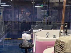 -FAELING PETS美天灵宠物(富力广场店)