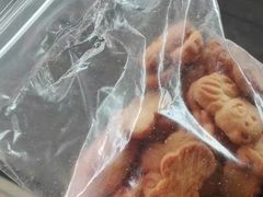 -东方熊牧场