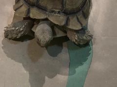 -萌宠奇缘