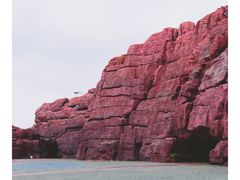 -西海岸生态观光园