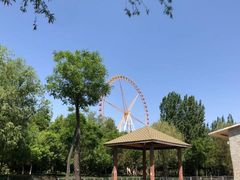 -石家庄市动物园