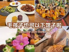 -百好乐宠物友好餐厅(朝外大街店)