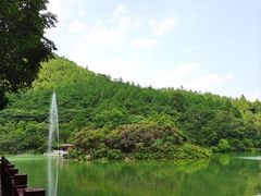 -广州白江湖森林公园