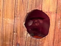 -上海大自然野生昆虫馆