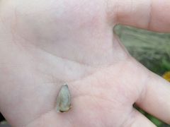 -映月湖中央公园