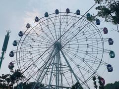 -花博汇(知音花月夜)