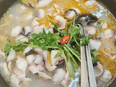 -大鼎石锅鱼(春江里店)