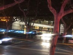 -上海新锦江大酒店