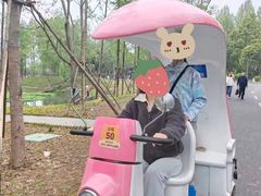 -洋湖国家湿地公园