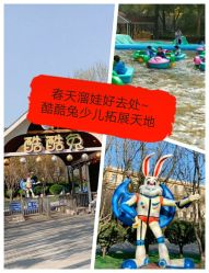 -酷酷兔少儿拓展天地